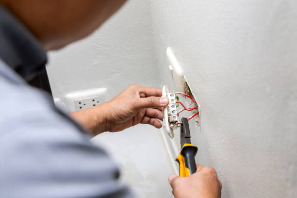 Best Electric Panel Repair  in Moa, UT